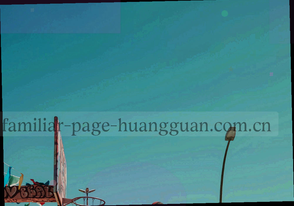 固定访问专栏的导出清单勾选界面与下载入口并排的局部特写，可见格式标签与等宽校验码区域